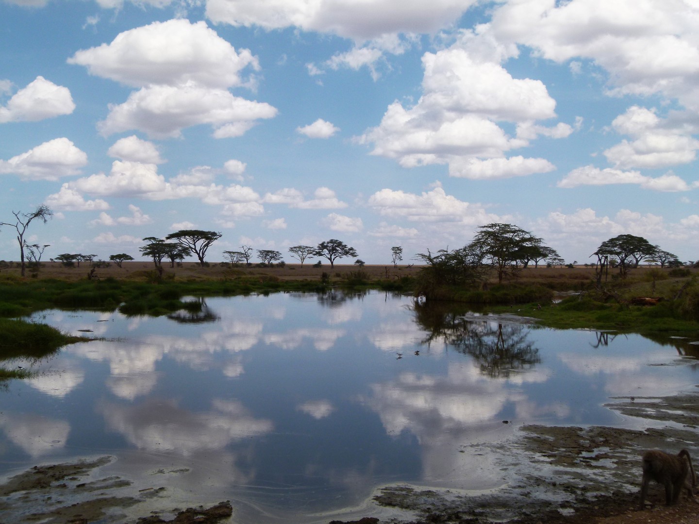 Wasserloch