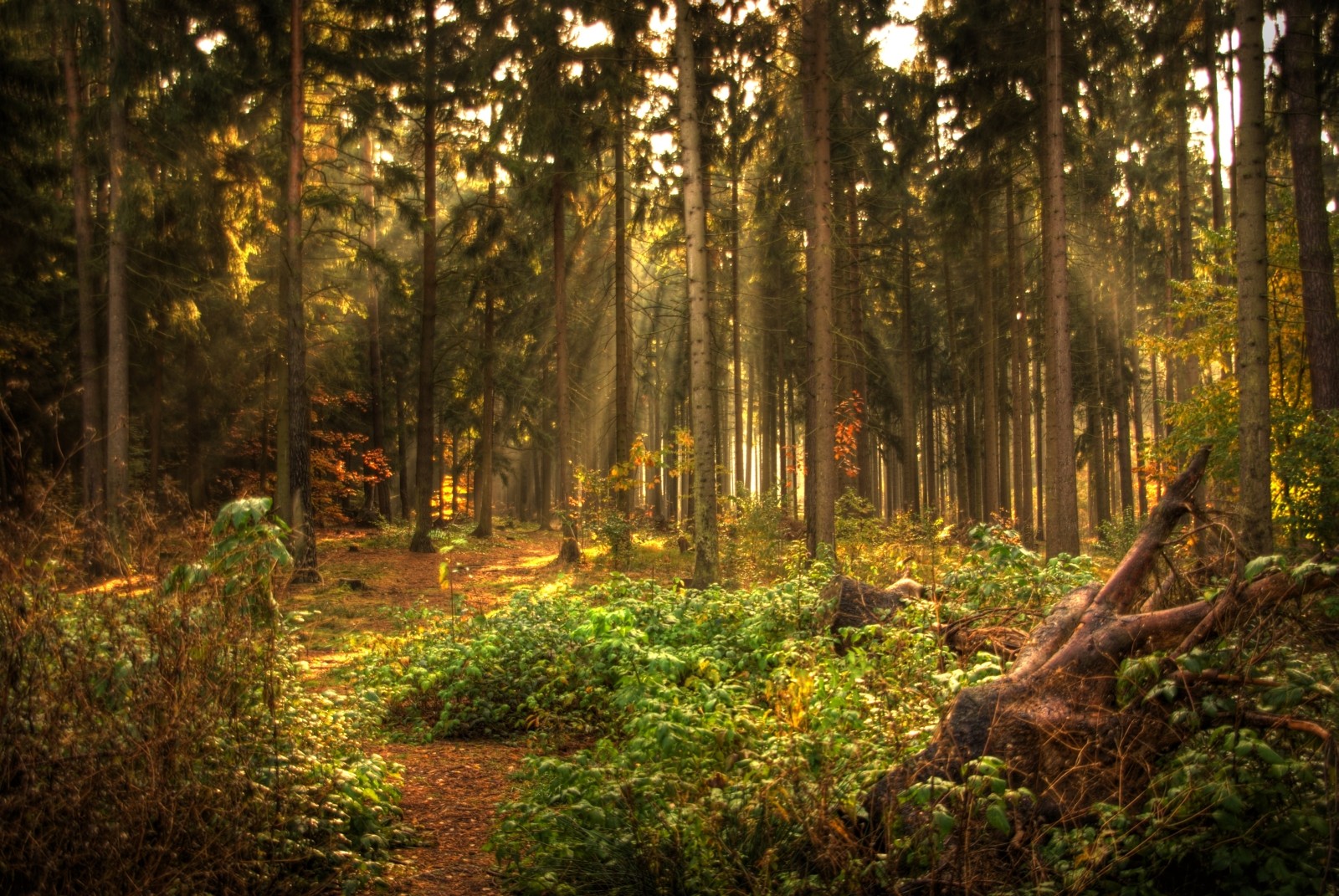 Licht und Schatten