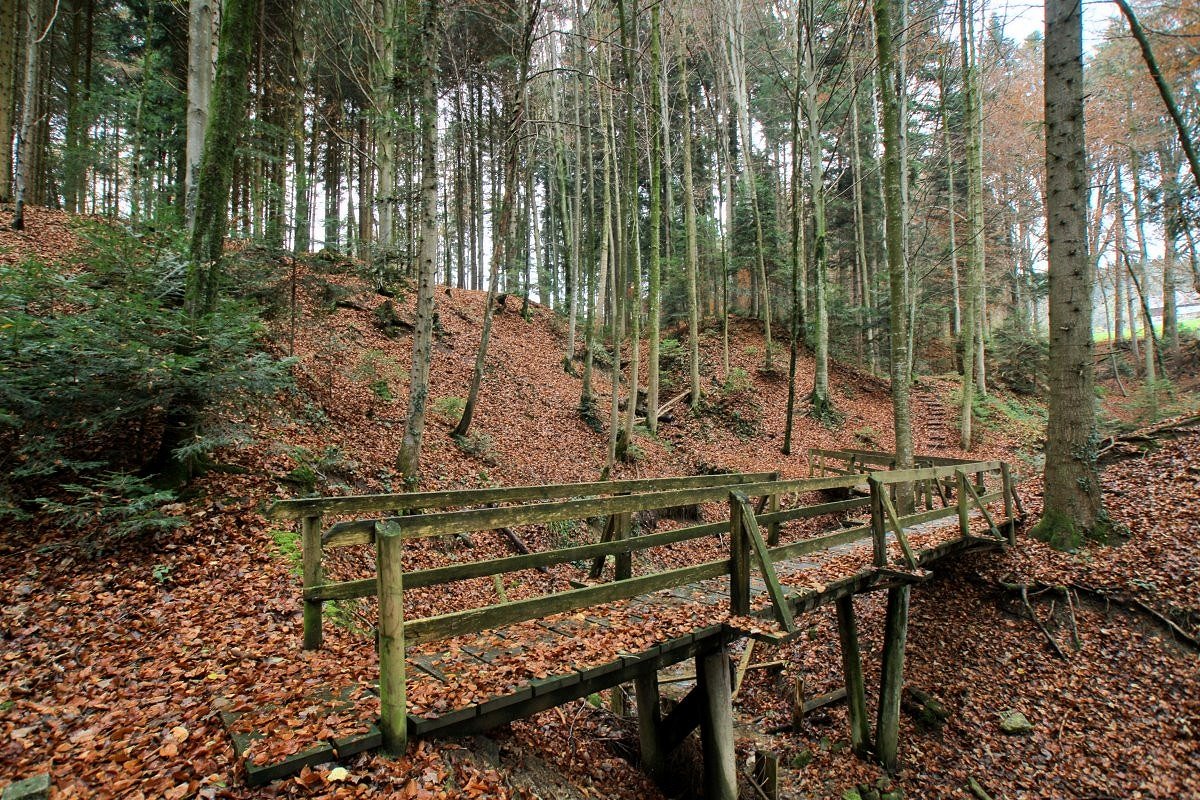 Waldweg