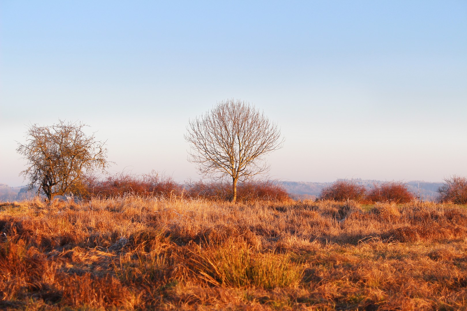 Landscape