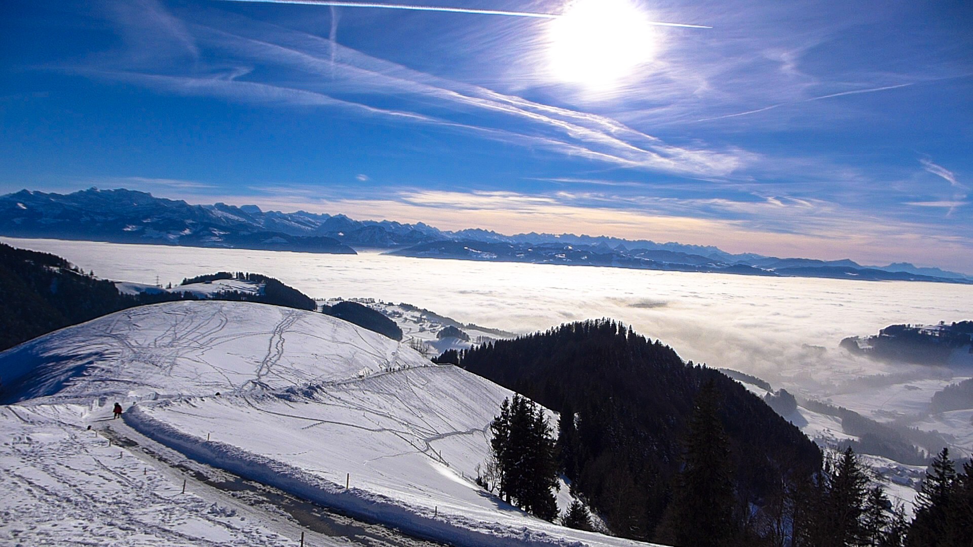 Schweizer Alpenpanorama