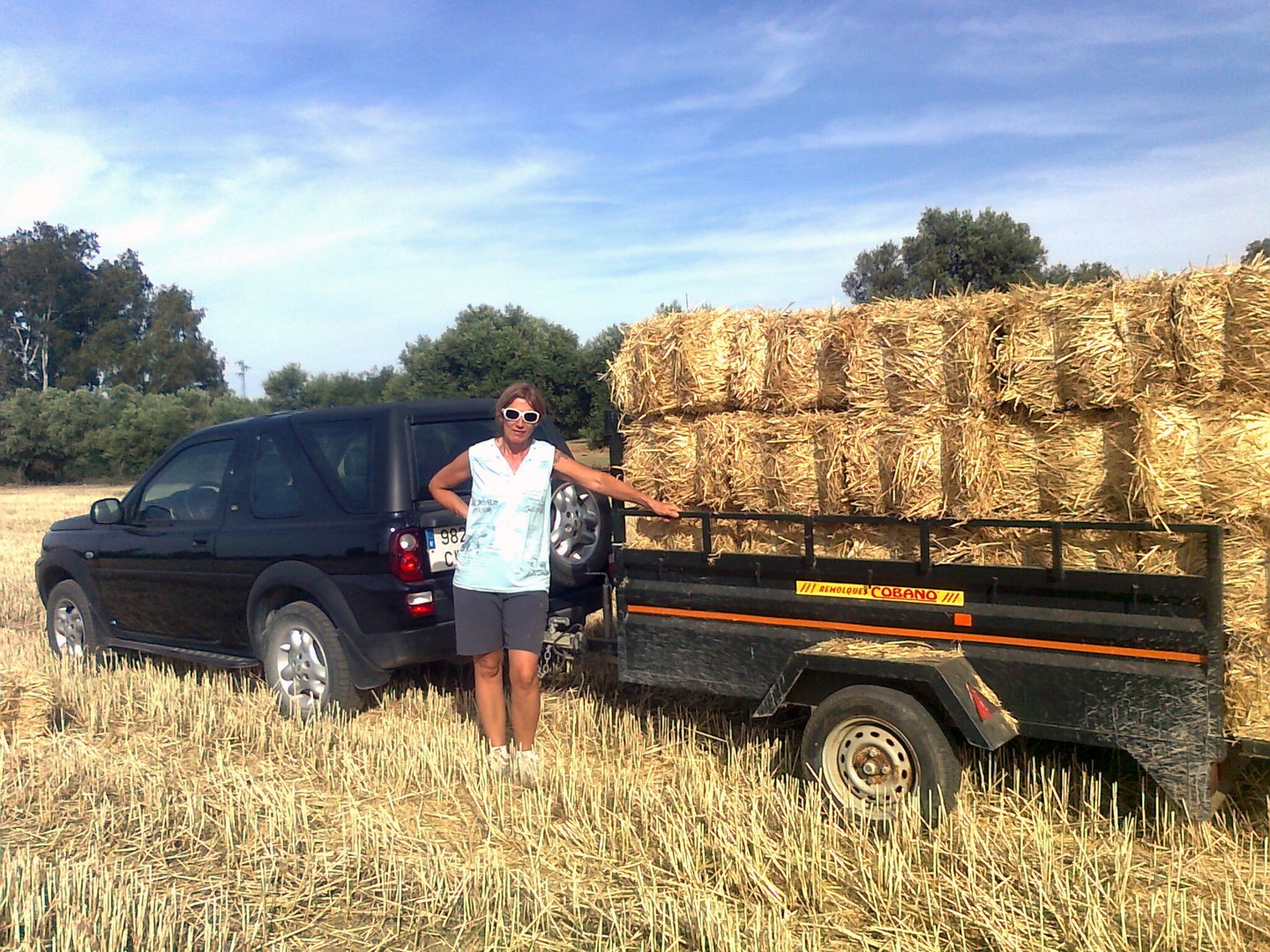 the best hay for our horses ..