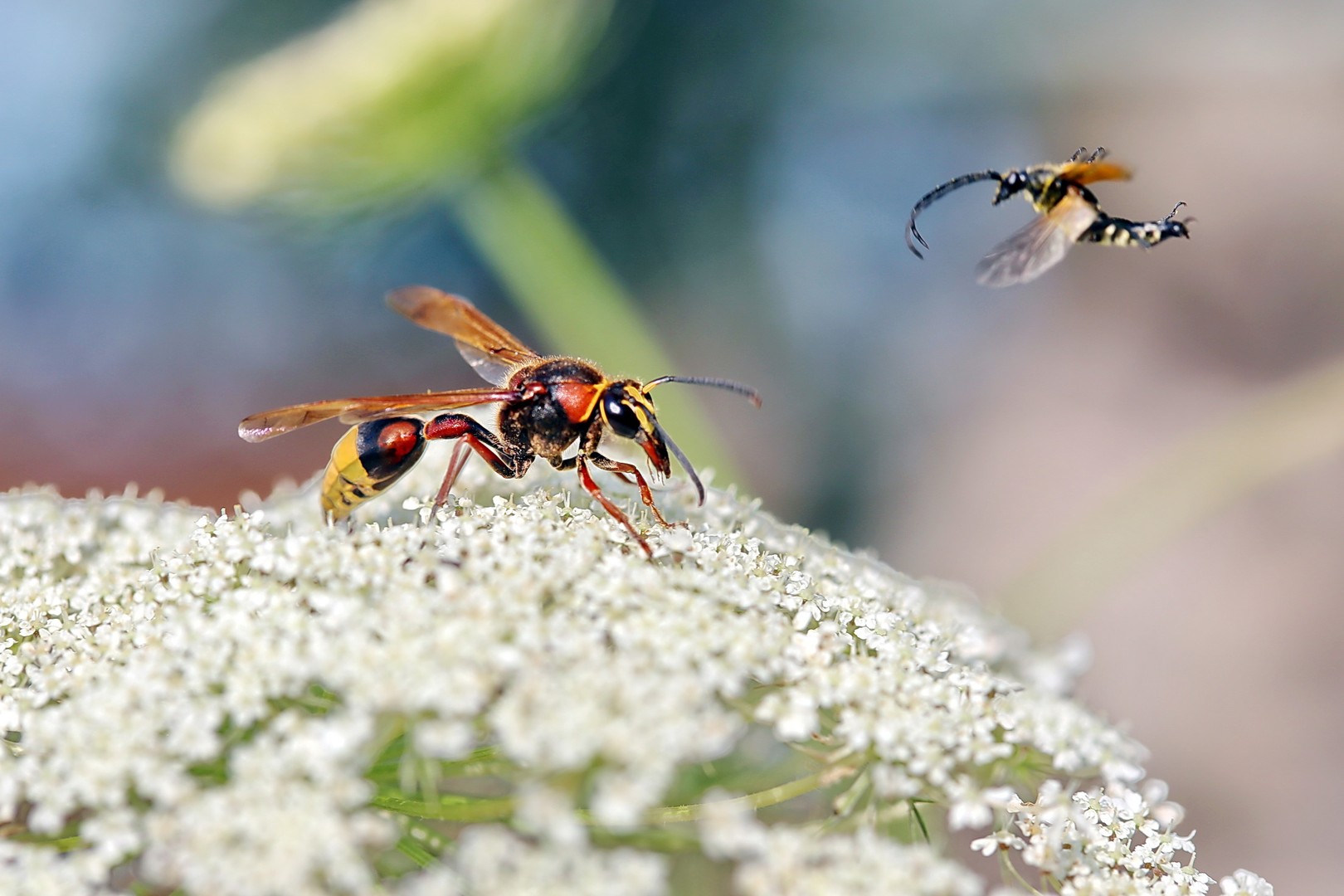 der Natur auf der Spur