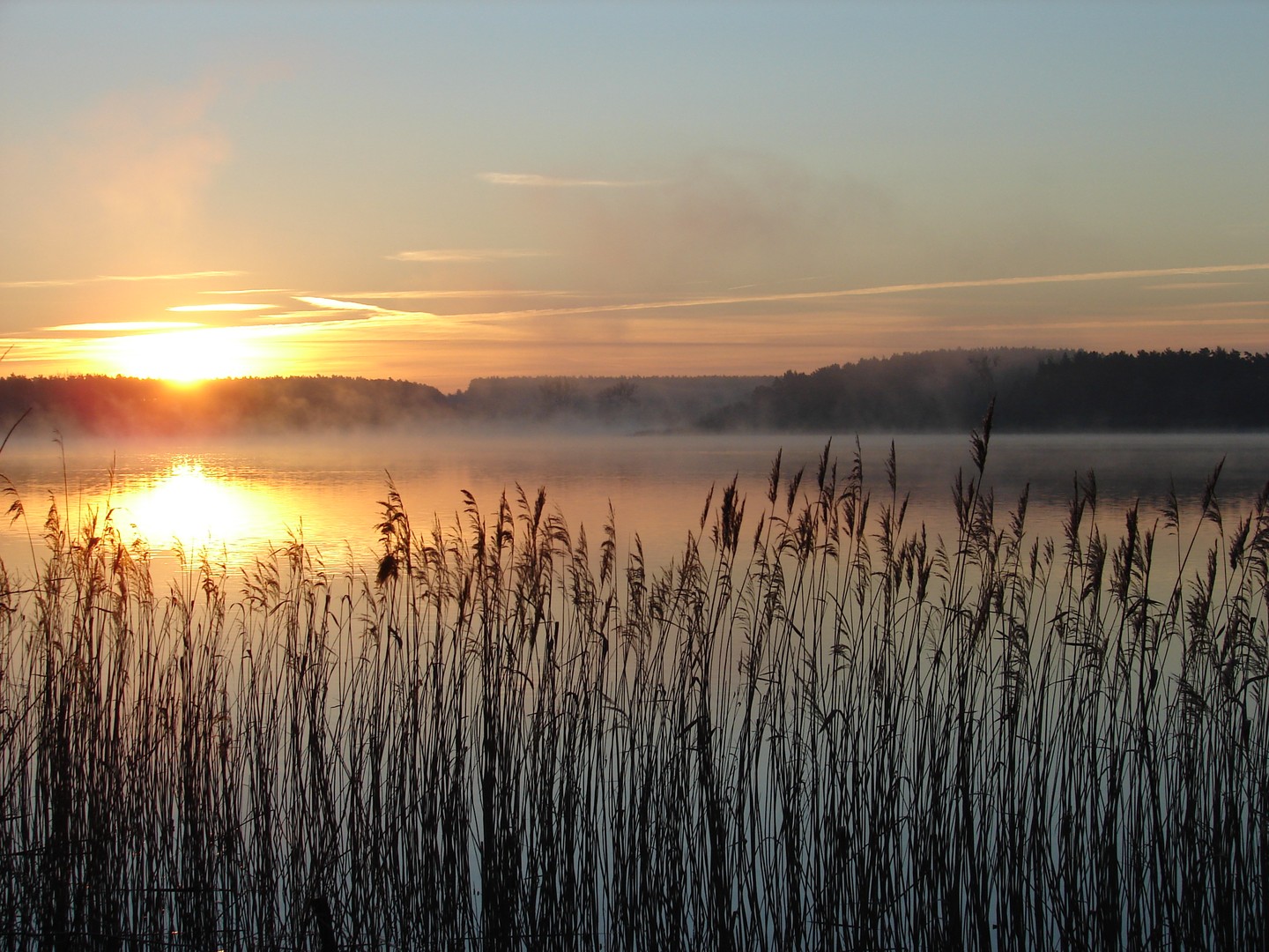 Austeigender Nebel 