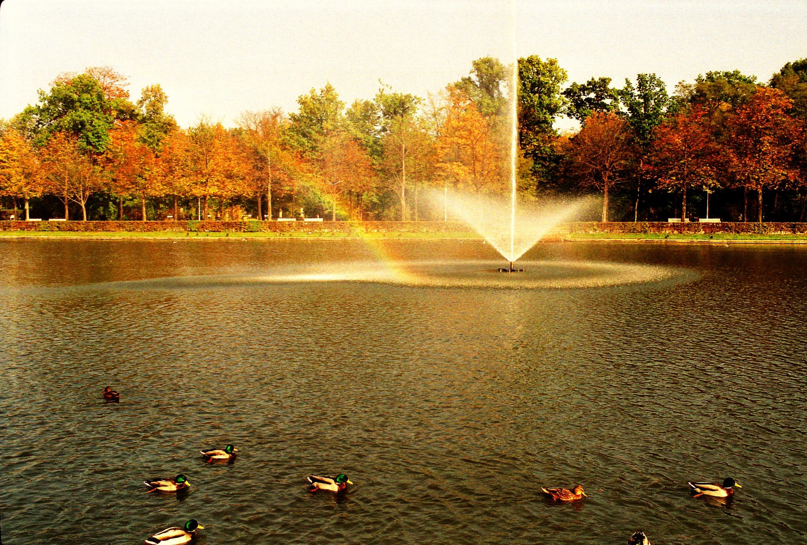 Regenbogen in der Fontaine