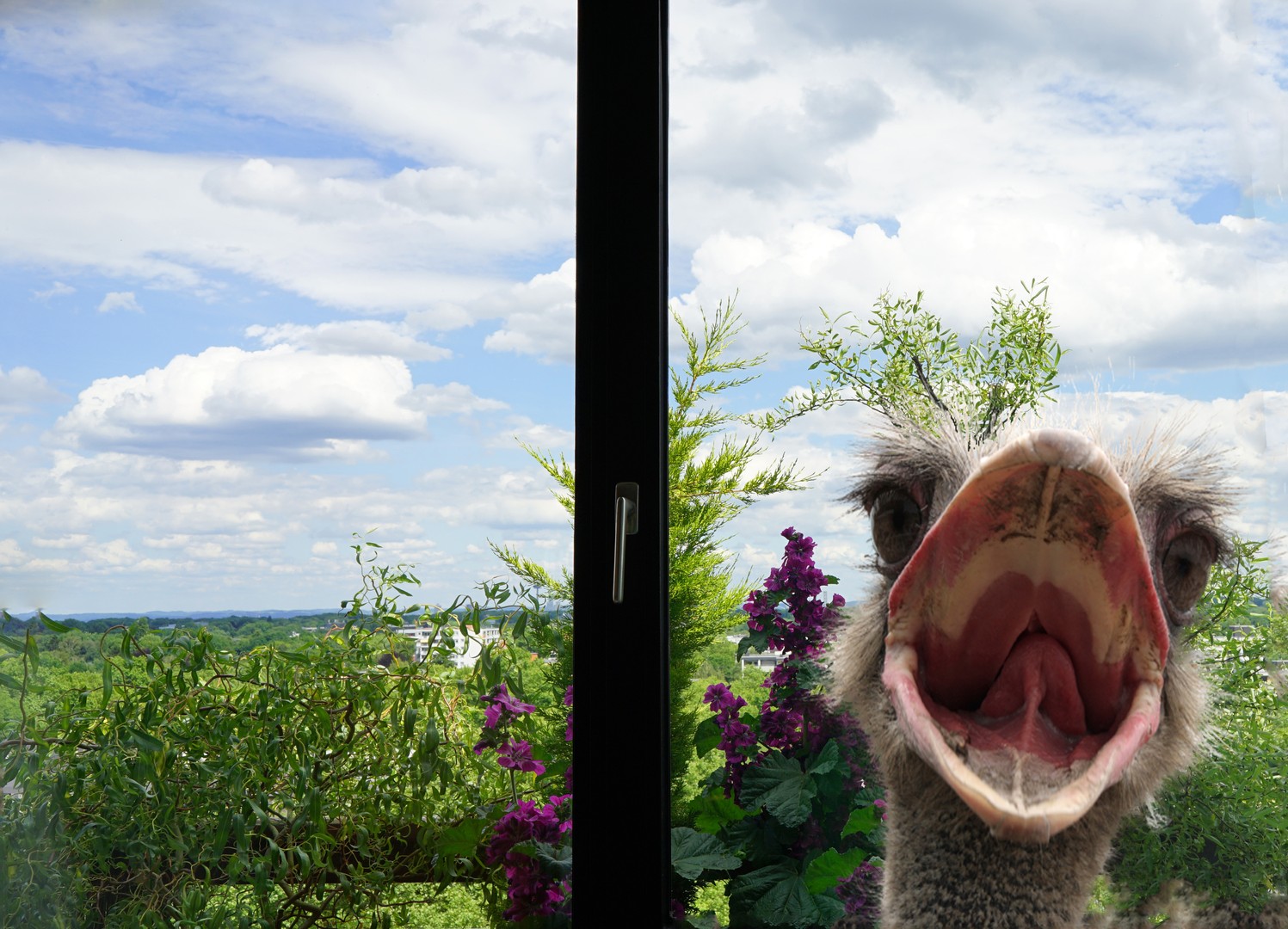 Neulich am Fenster