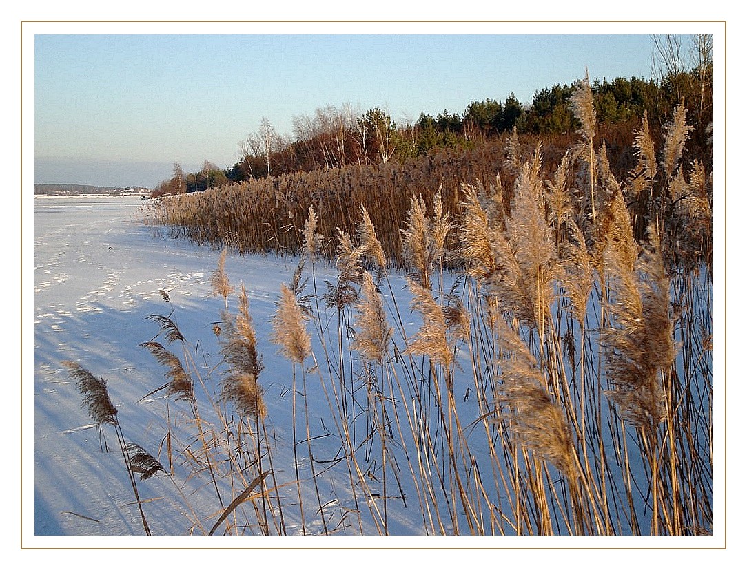 Winter am See