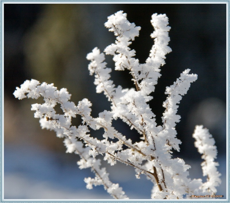 Kälteblumen