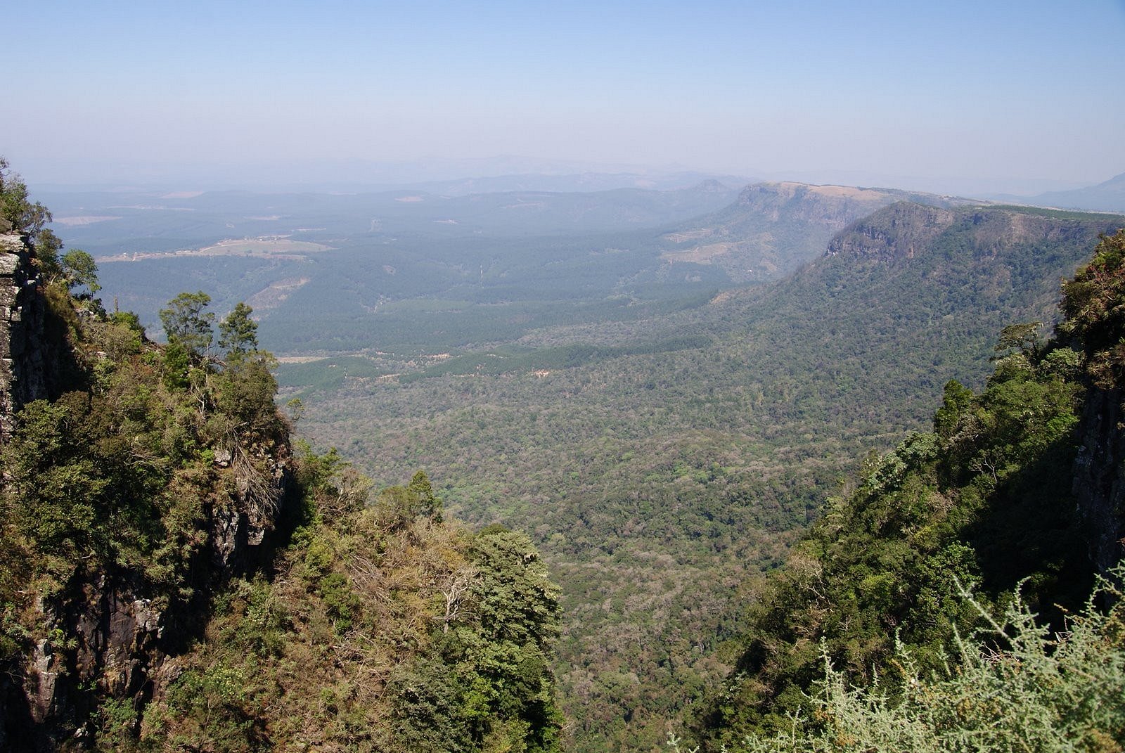 God's Window -  "Jungle View" aus