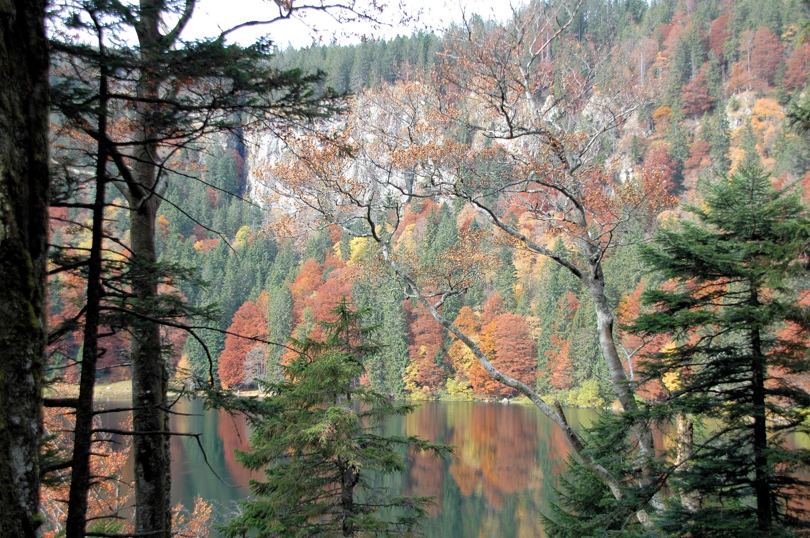 Herbst am Feldsee