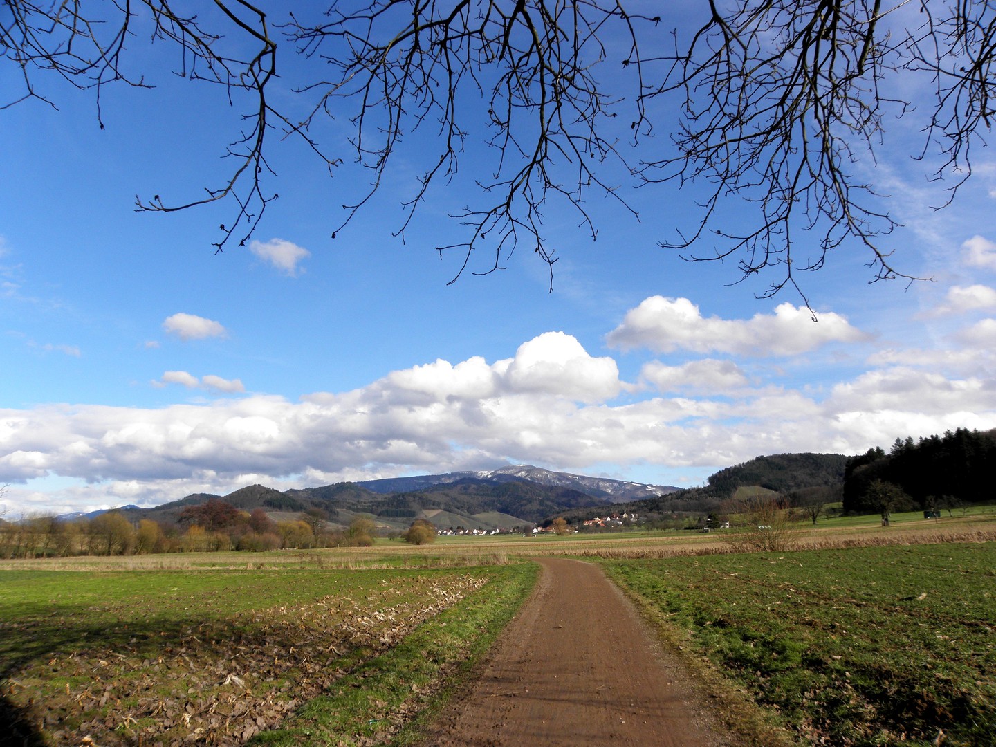 Blick auf ...