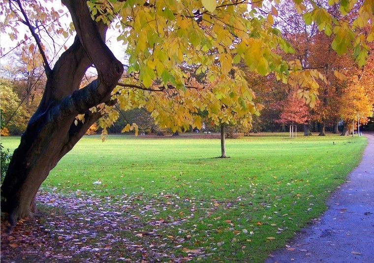 Herbststimmung im Bremer Bürgerpark