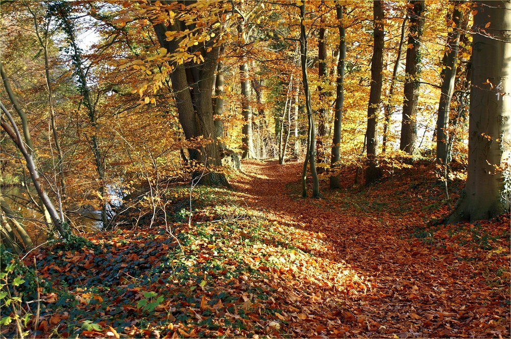 Malerischer herbstlicher Huntepadd