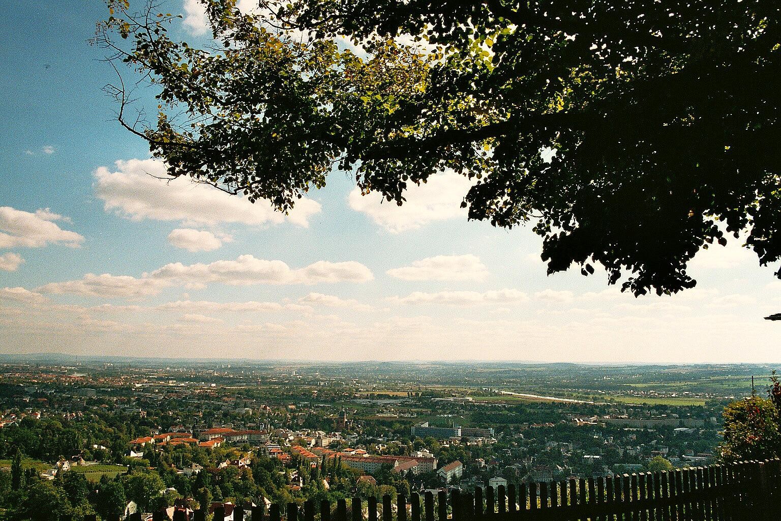 Blick übern Gartenzaun