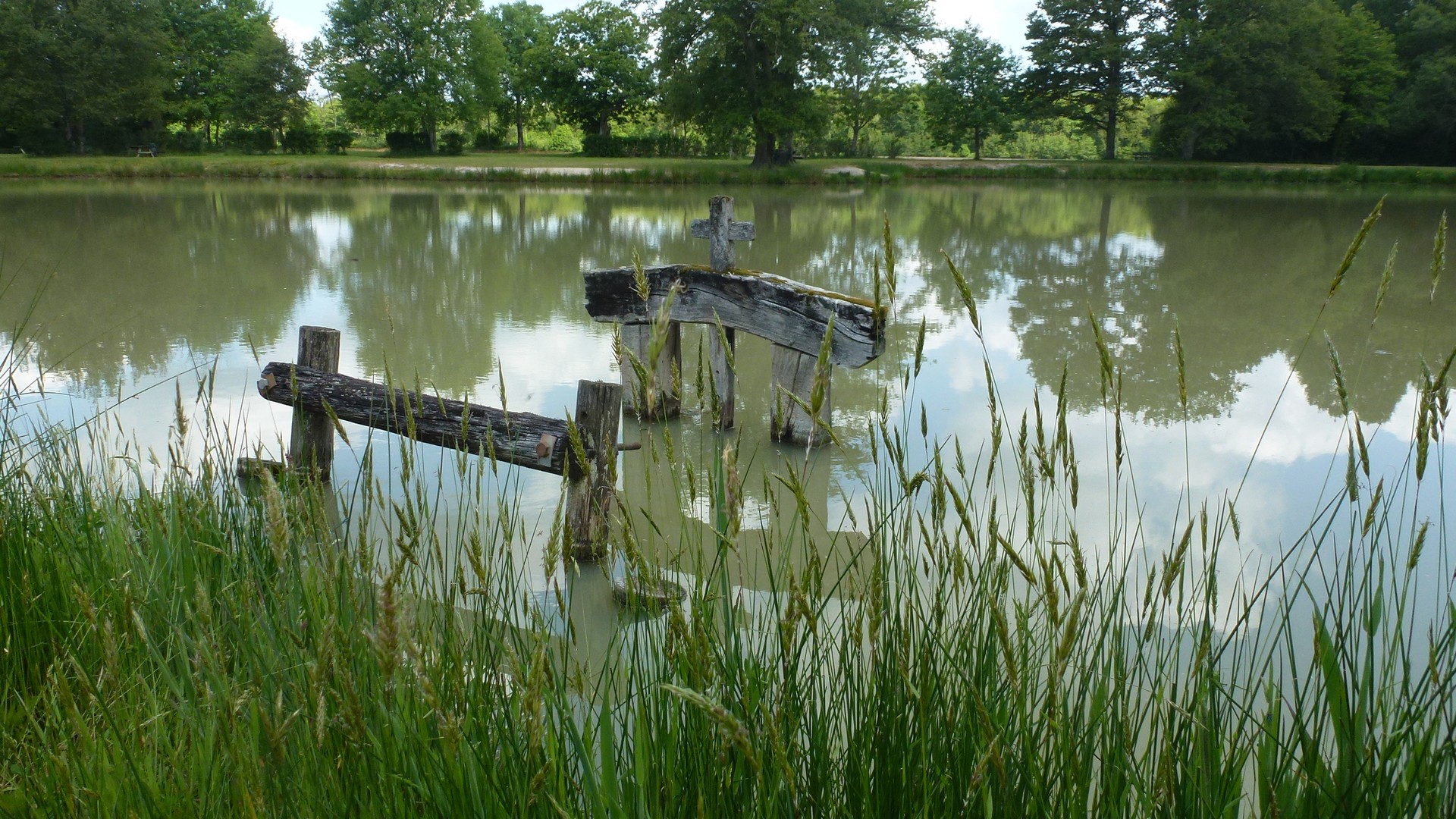 Etang de Sologne