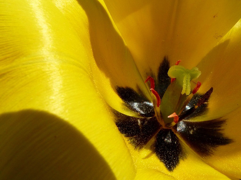 Ganz da drinnen