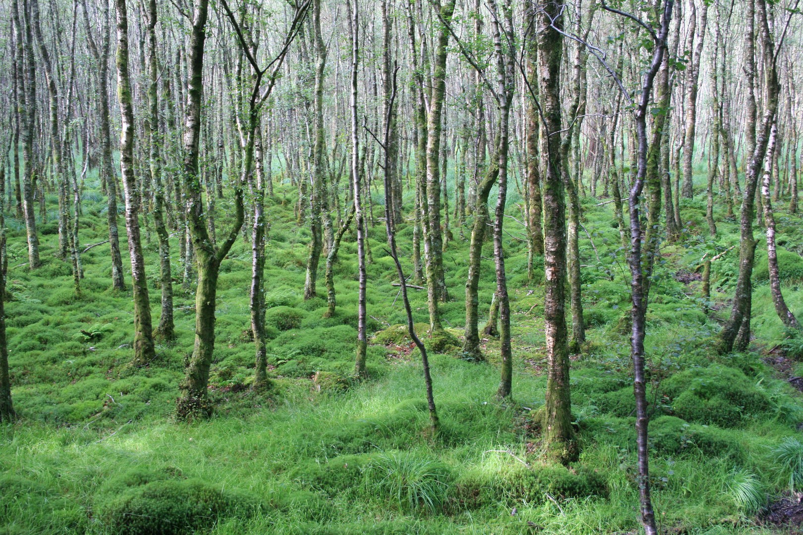 Glendalough