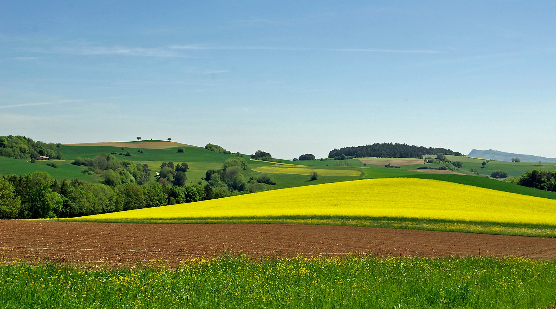 An der nördlichsten Ecke der Schweiz