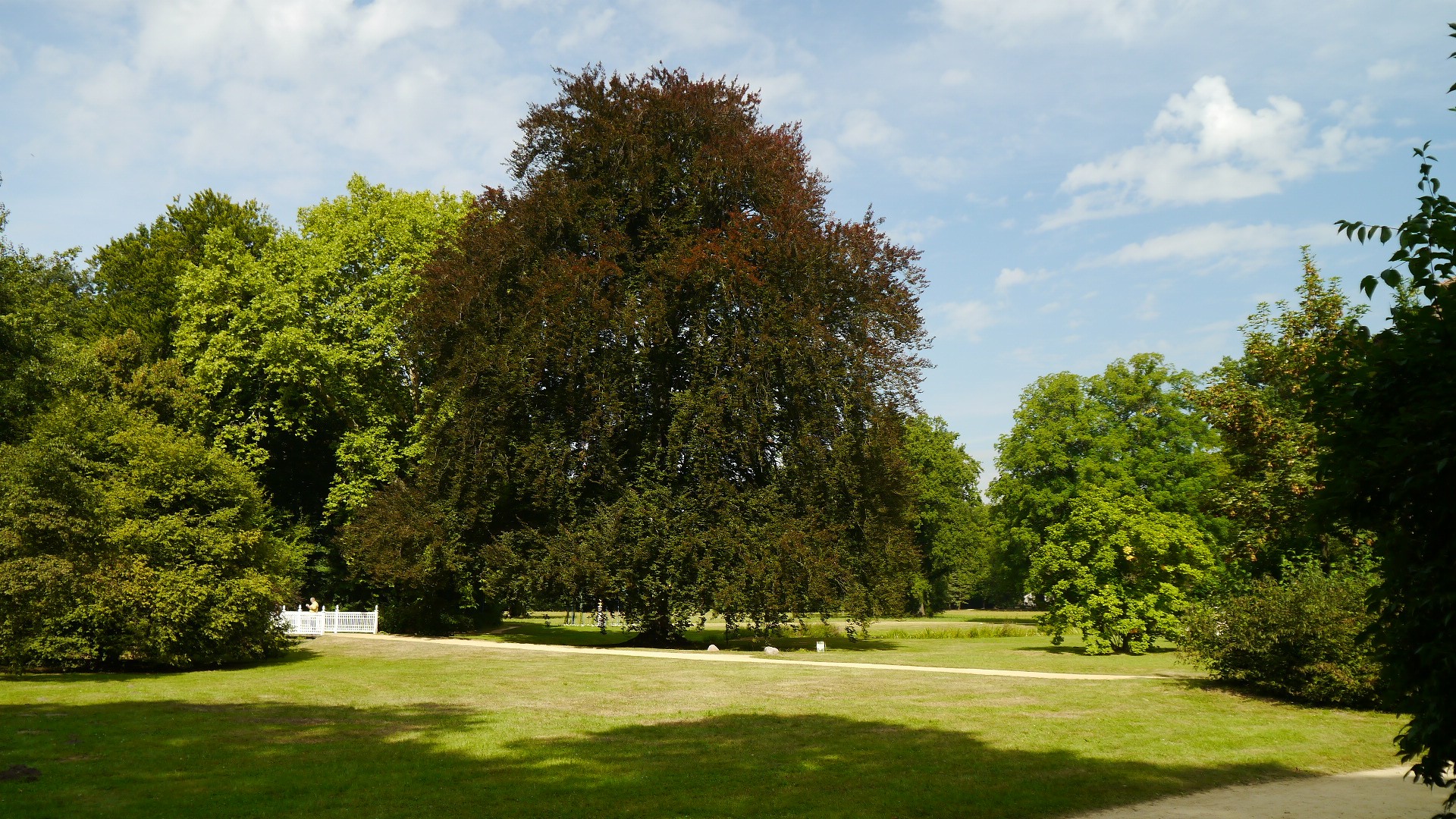 Der Park von Branitz