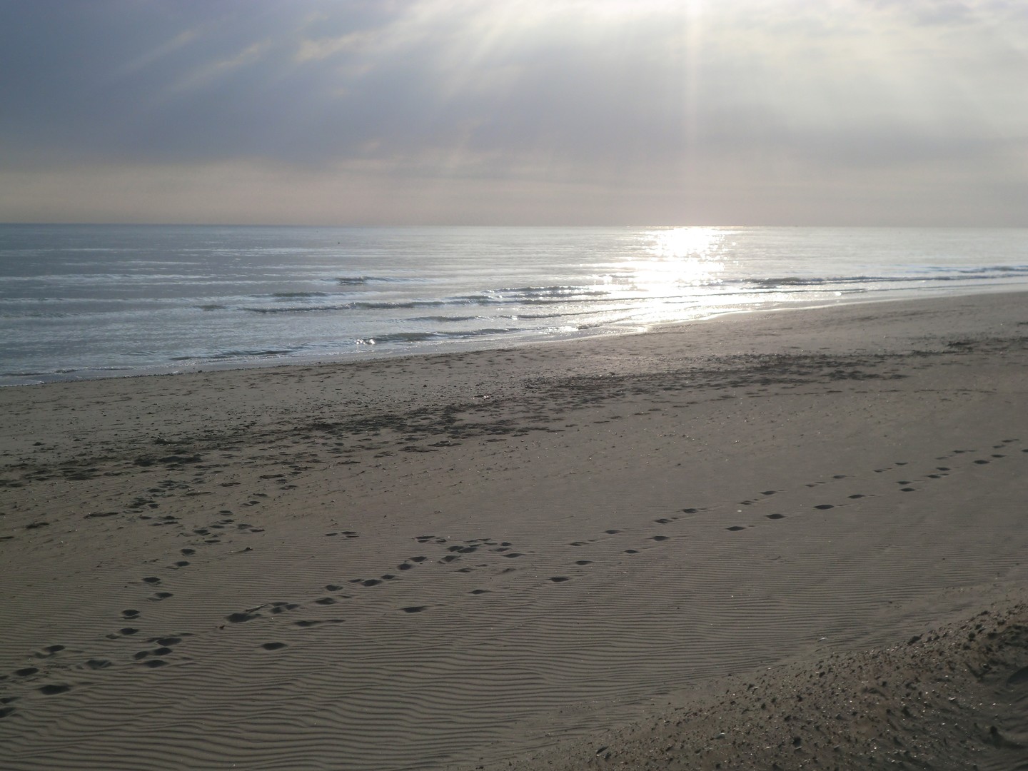 IL MARE D'INVERNO