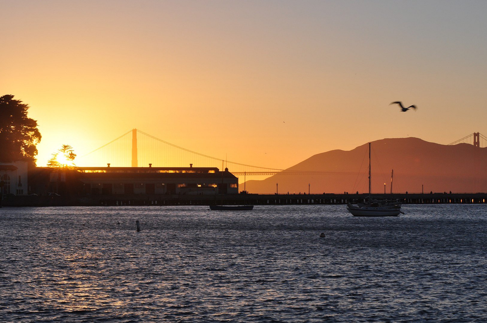 At last ... sight on Golden Gate Bridge