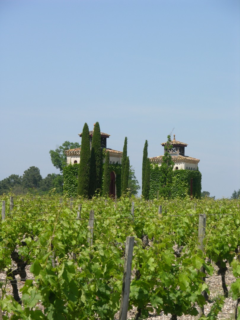 CHATEAU SMITH HAUT LAFITTE (Graves Pessac Léognan)