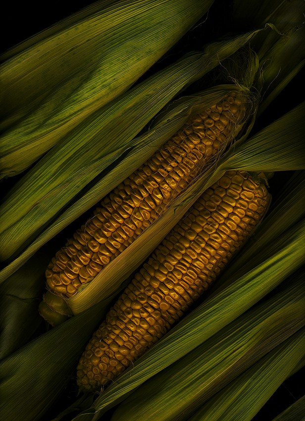 earthArt corn