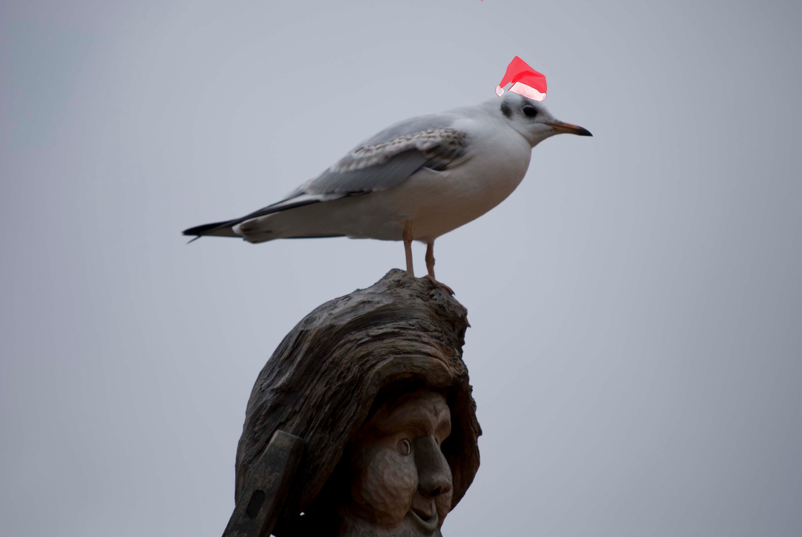 Frohe Weihnachten