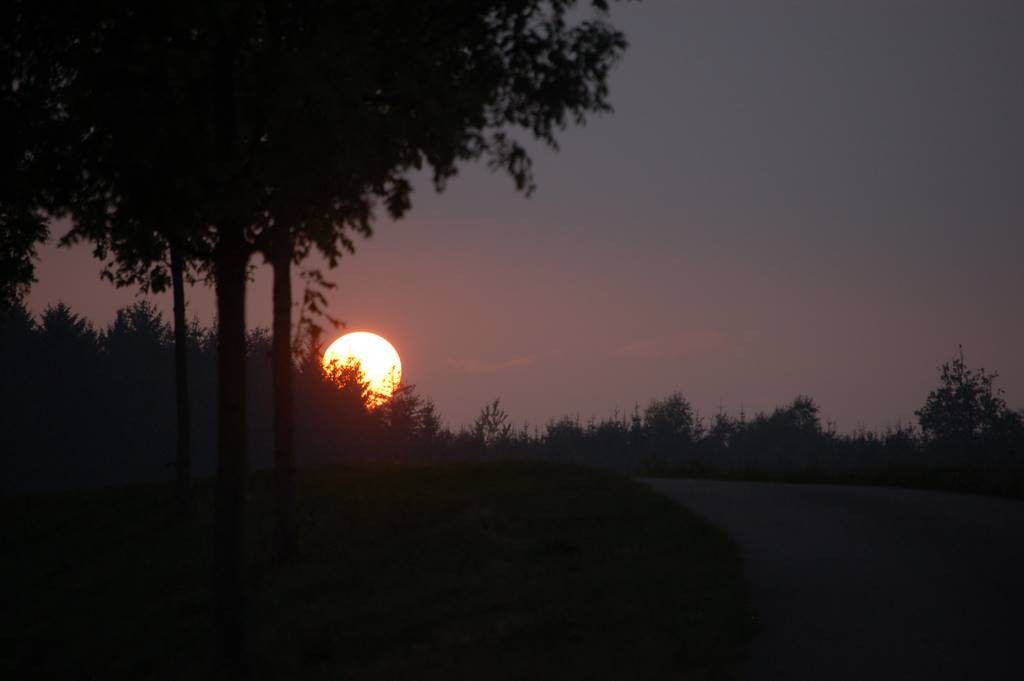 Heimweg mit dem Fahrrad