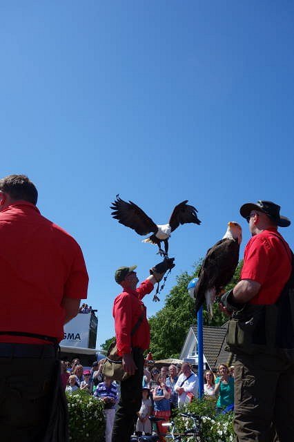 Flugschau der Greifvögel-Station Hellenthal