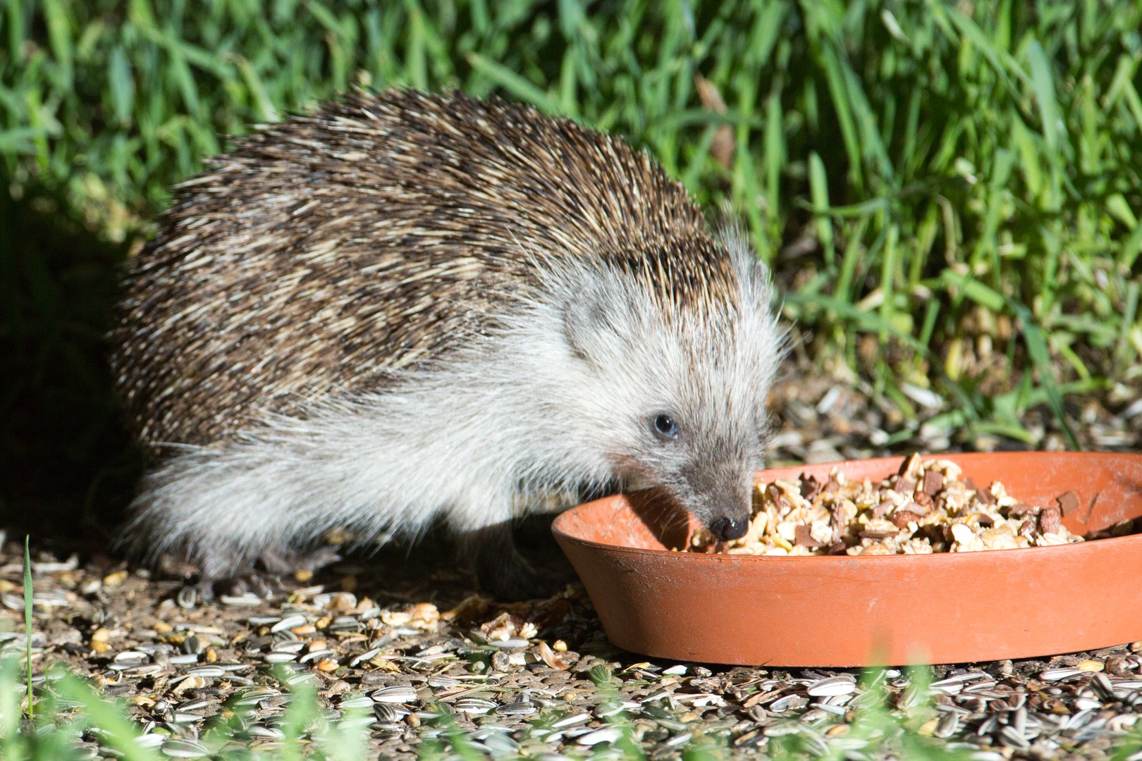 Es schmeckt!