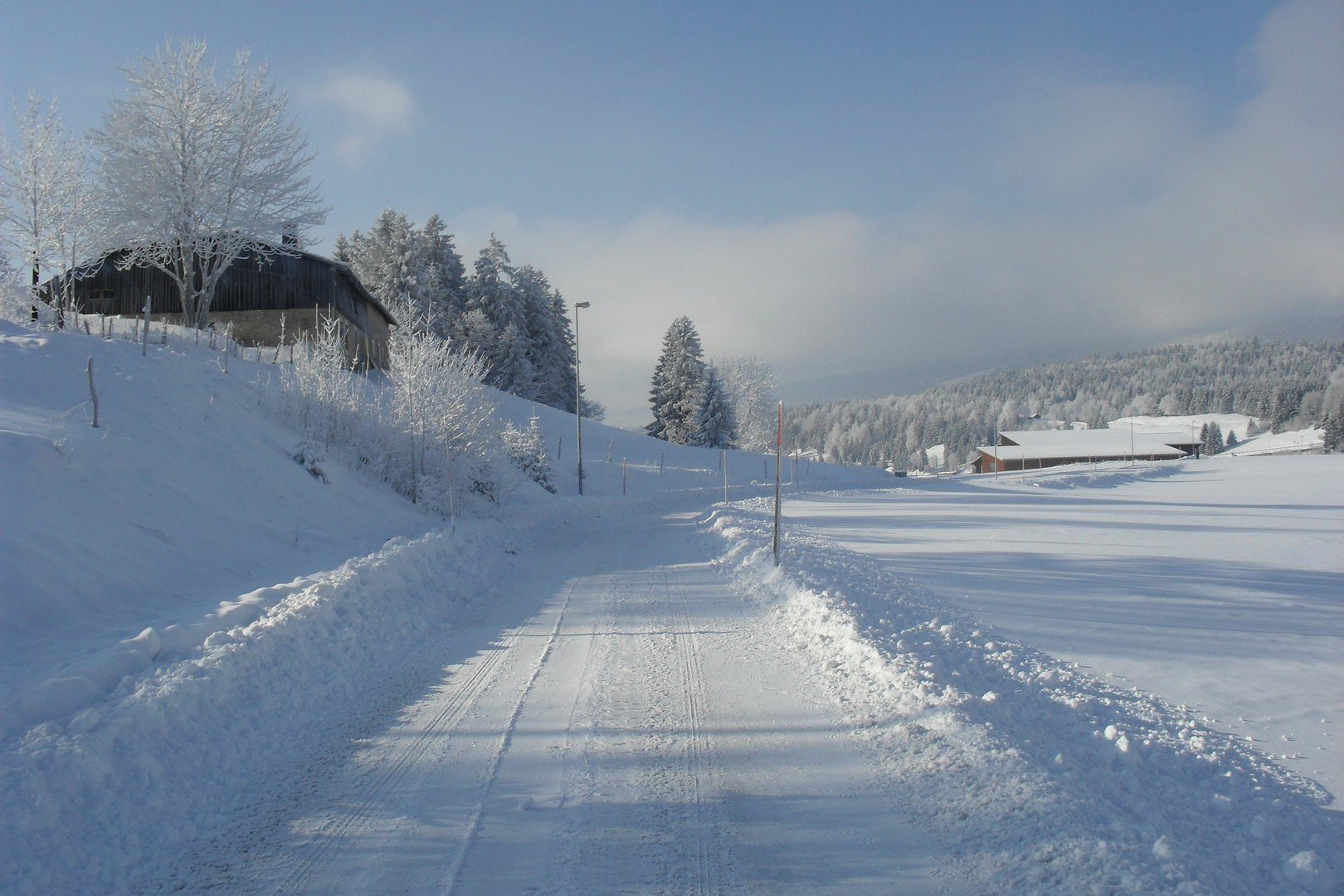 magnifica giornata d'inverno