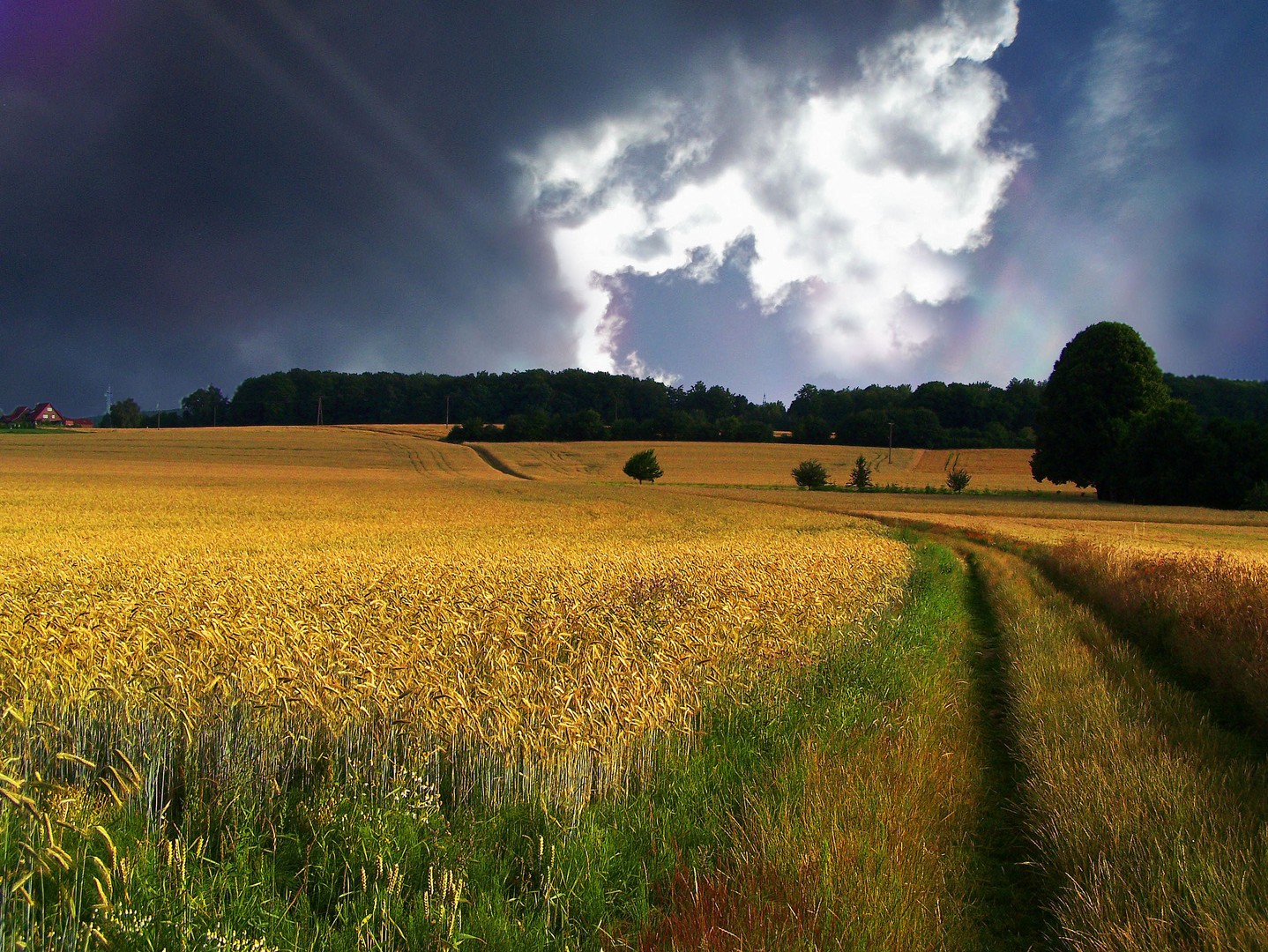 Nahendes Unwetter