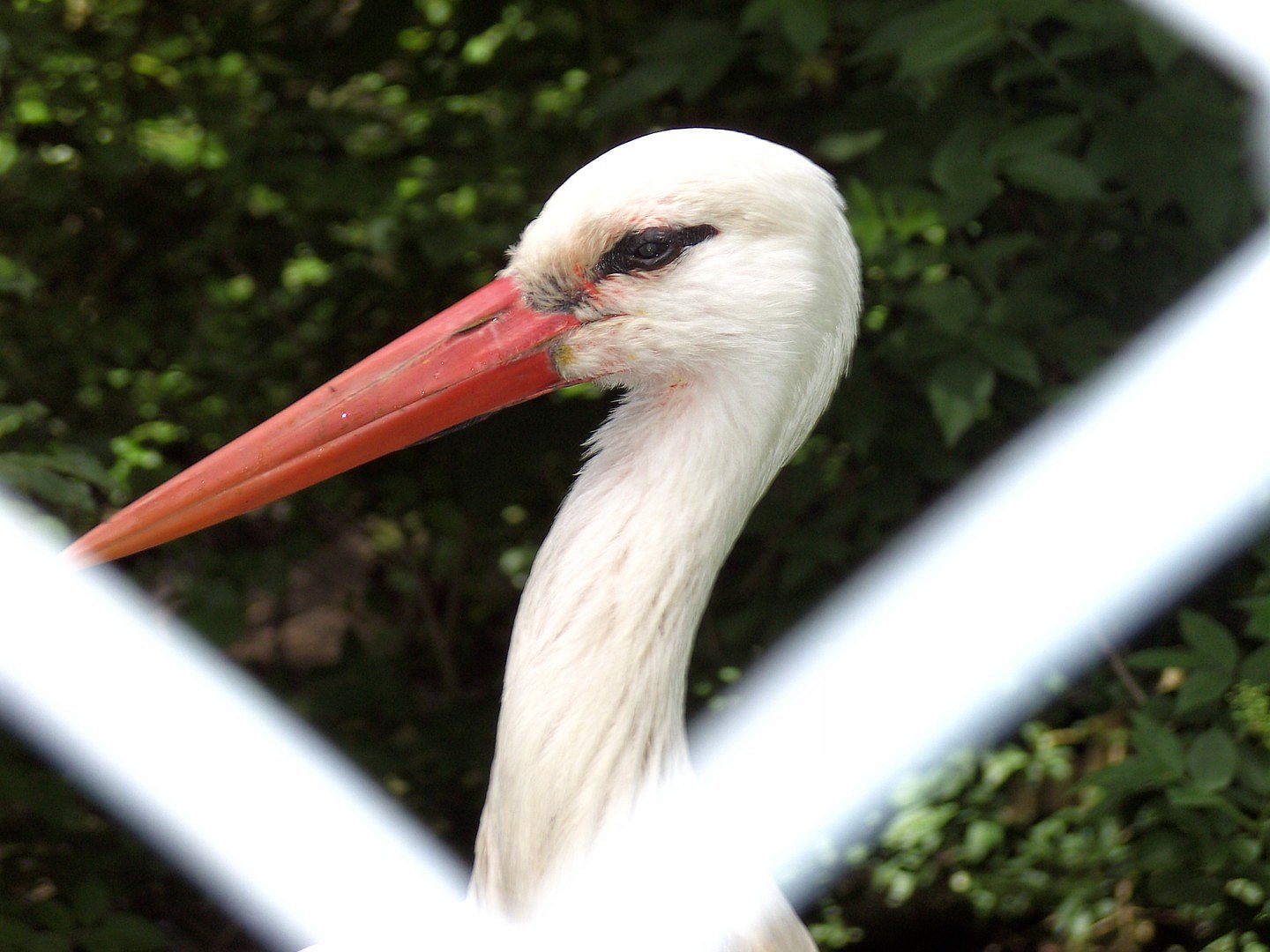 Kritischer Blick