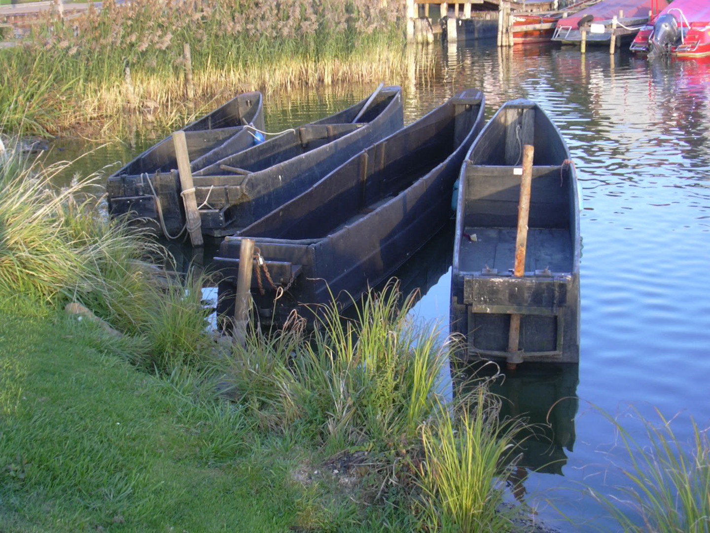 Steinhuder Meer