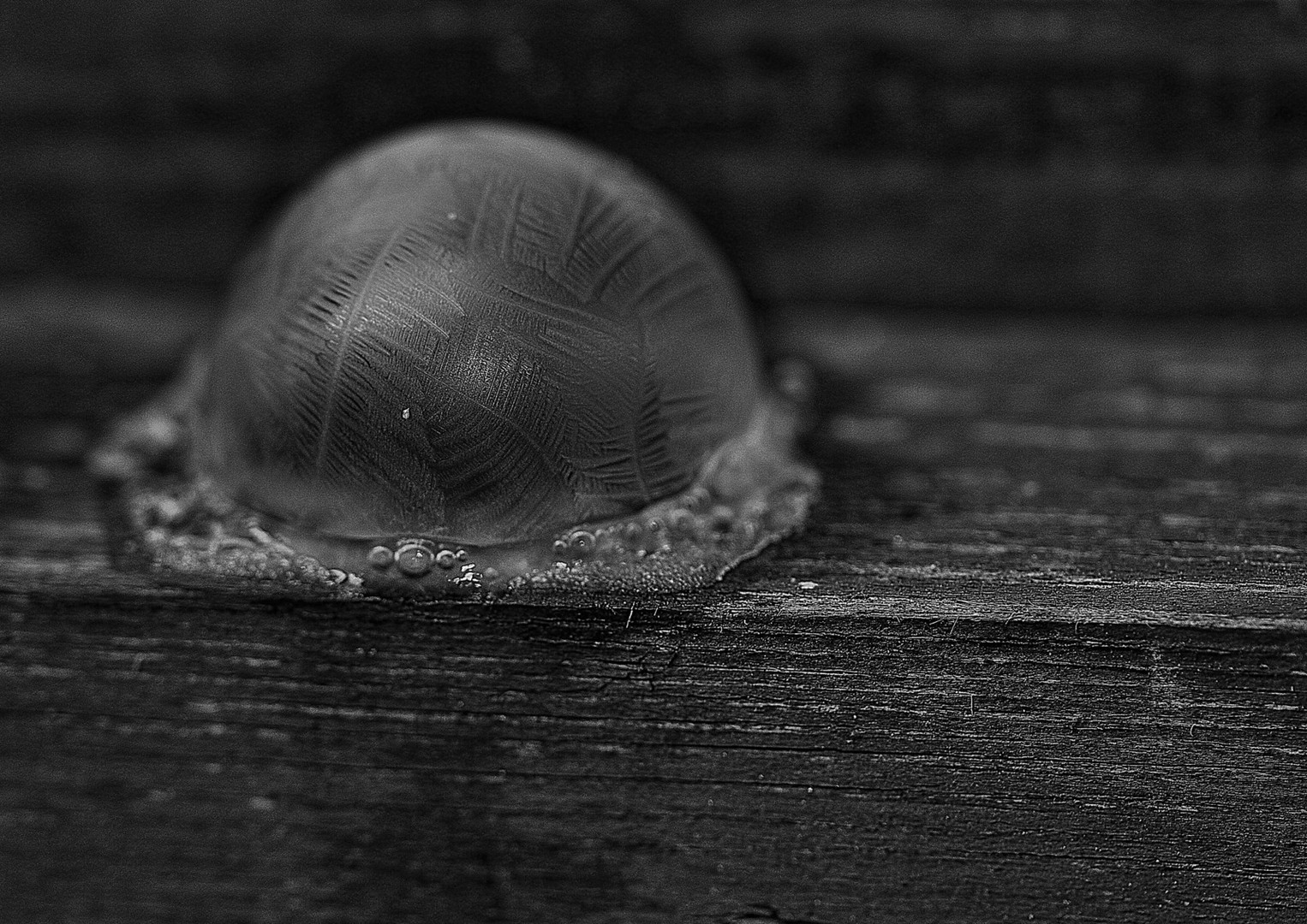 Seifenblase im Frost