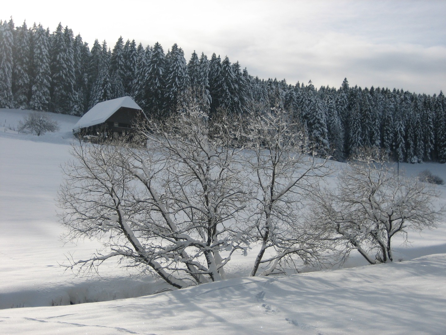 Schneebedecktes Schwarzwaldhaus ...