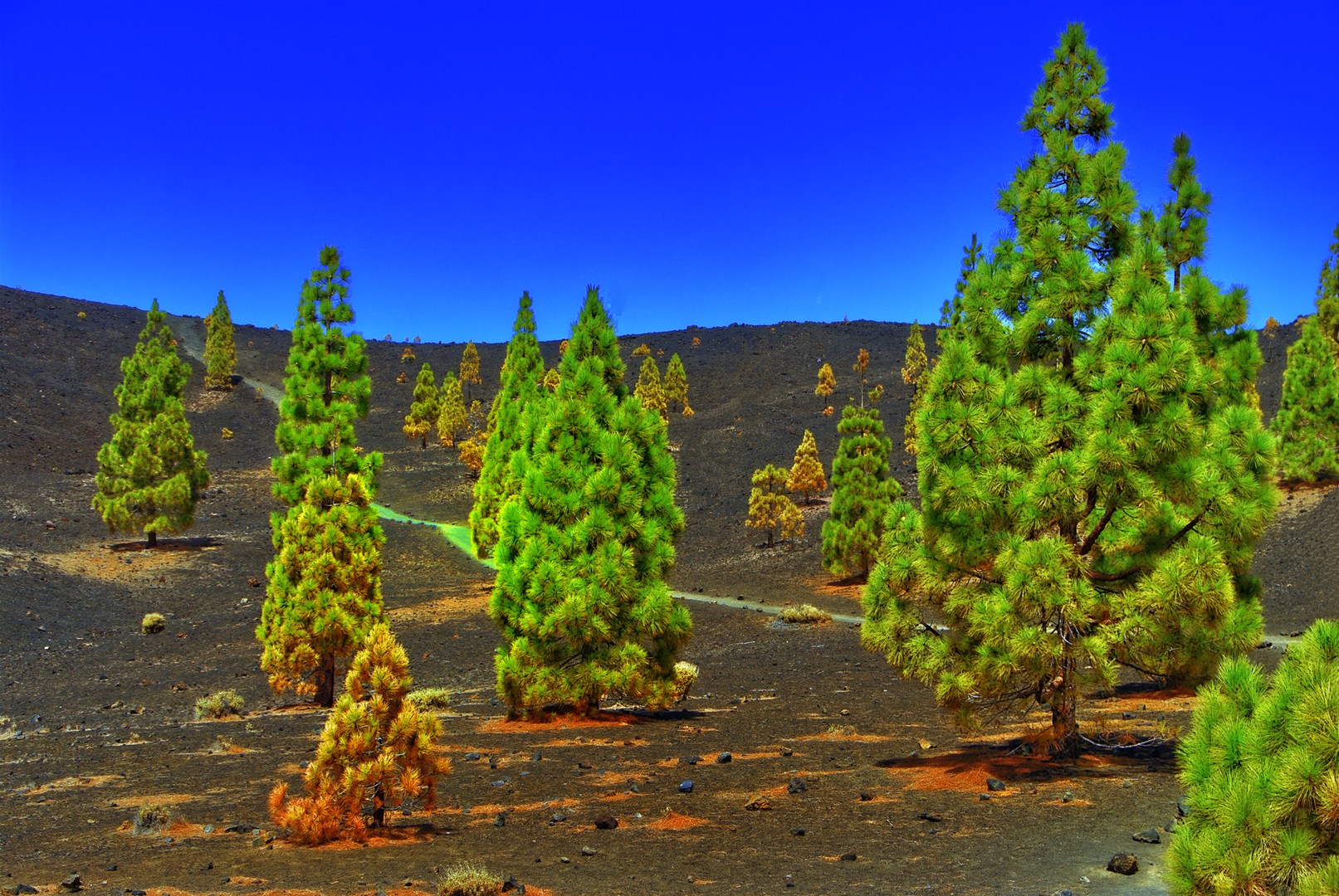 Abendsonne am Teide