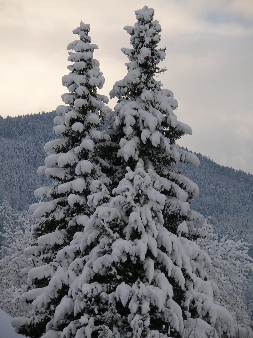 Winter in den Bergen