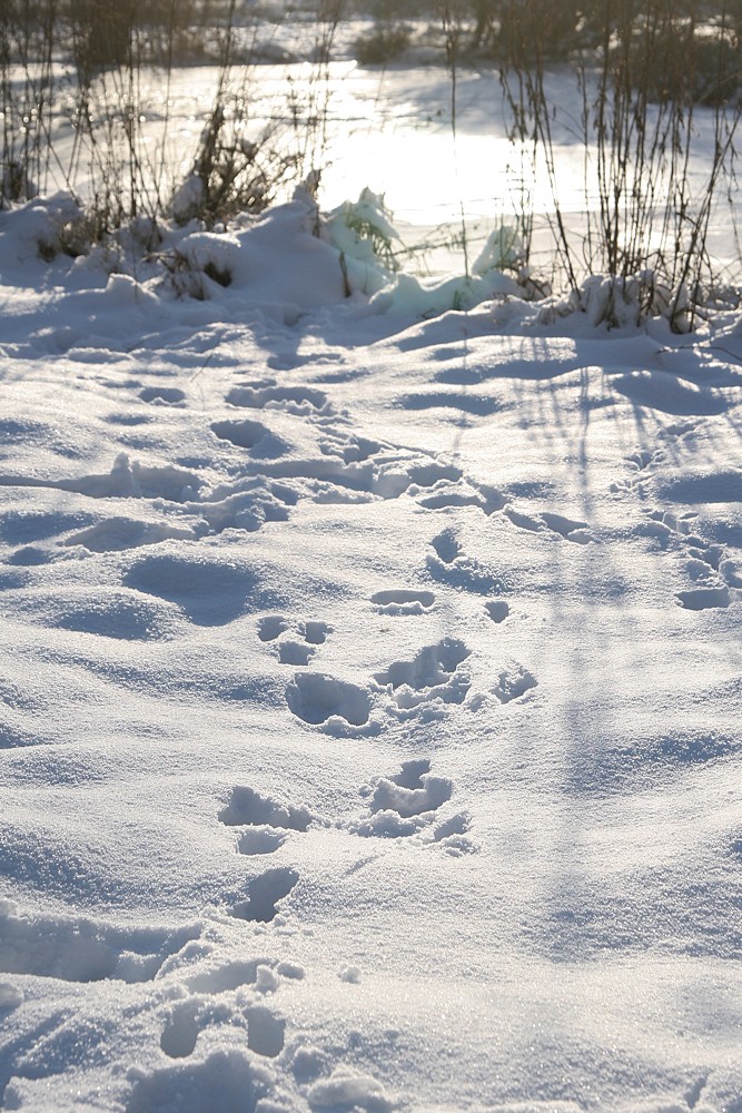 Deine Spuren im Schnee