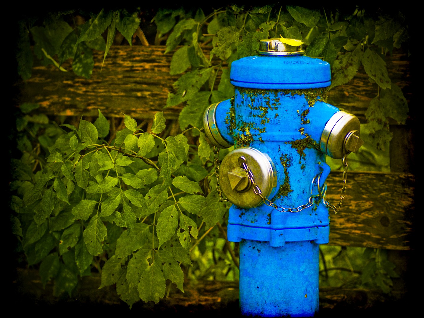 hydrant