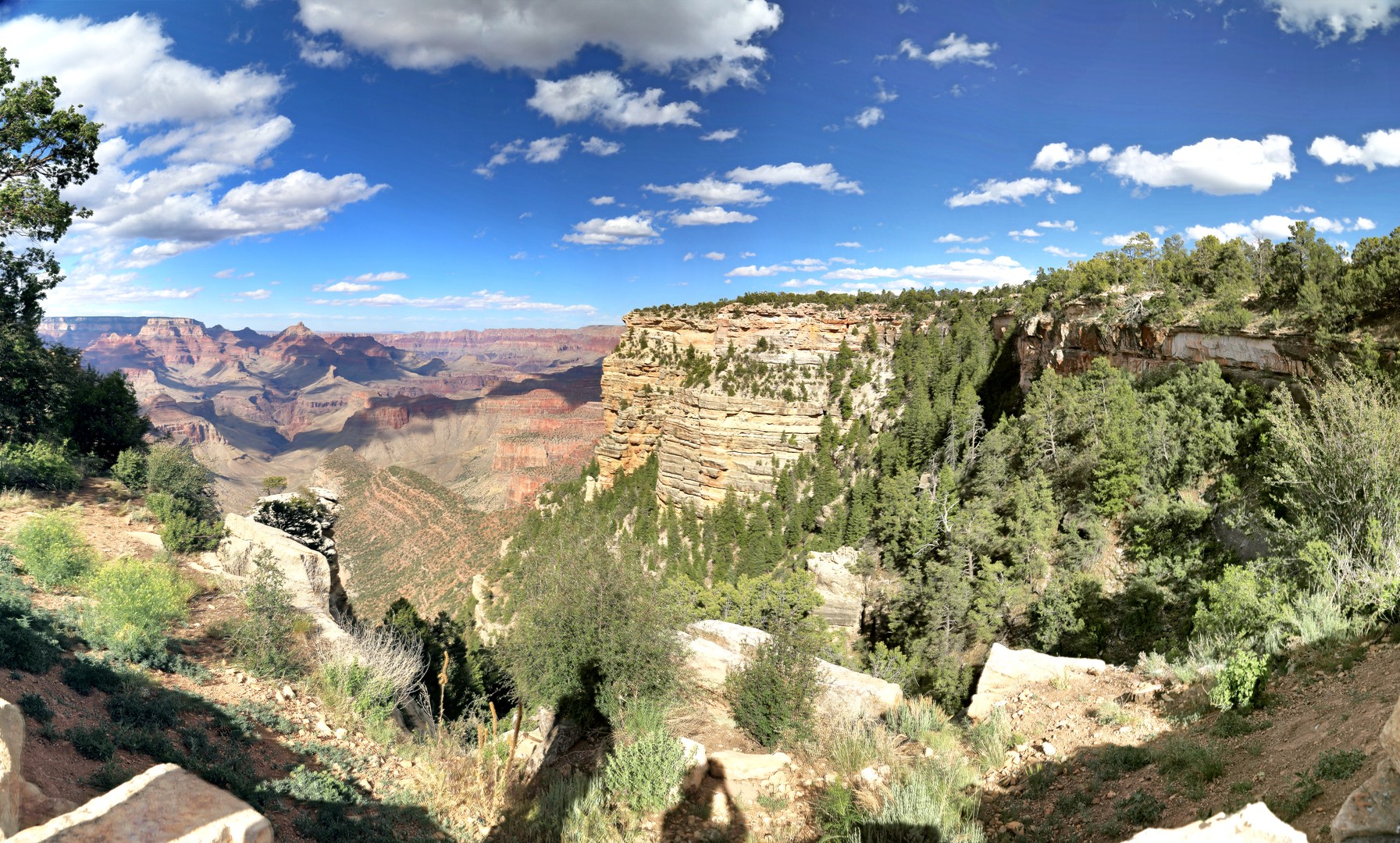 Neulich am Canyon