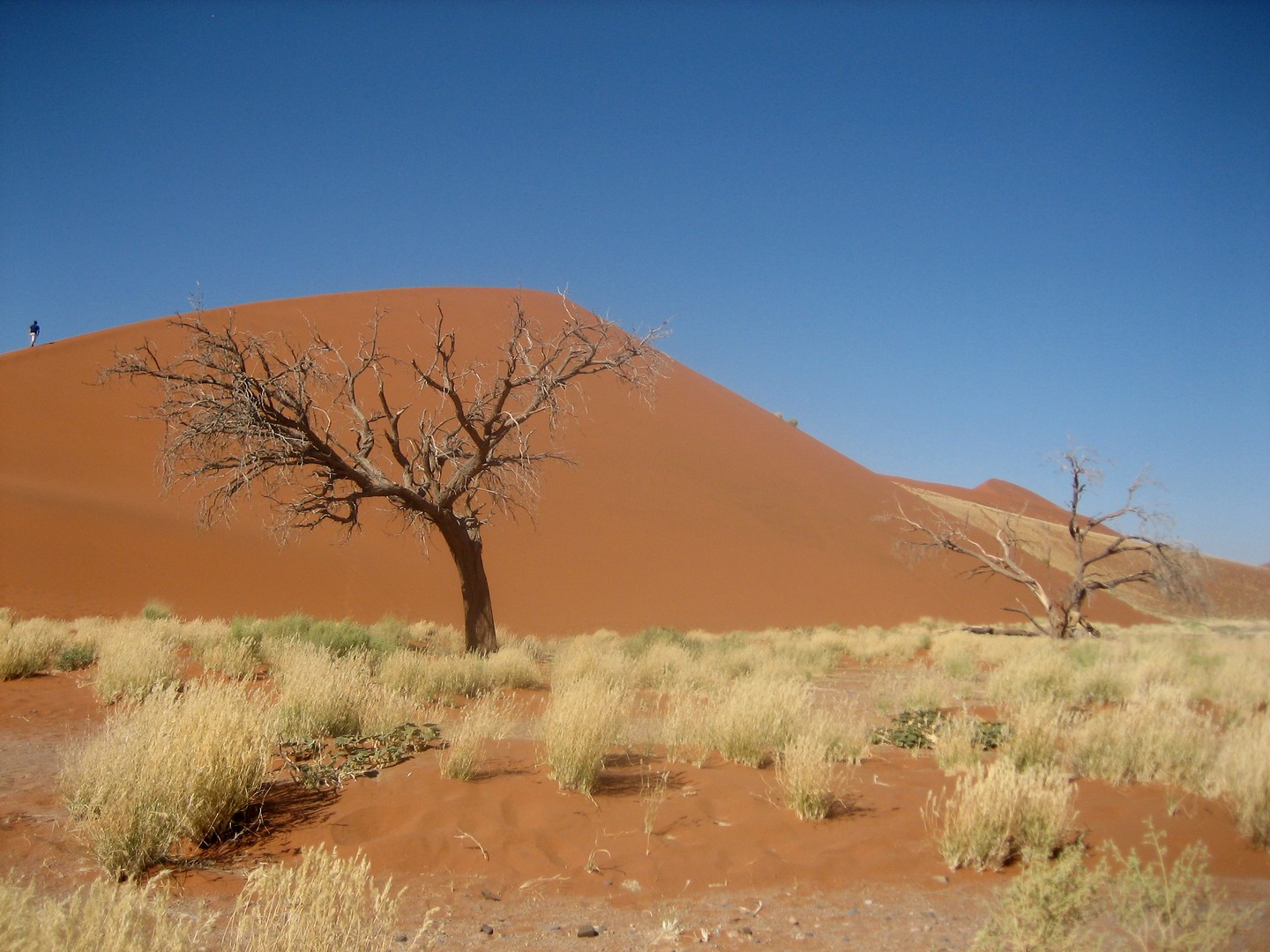 Sossusvlei gewaltig