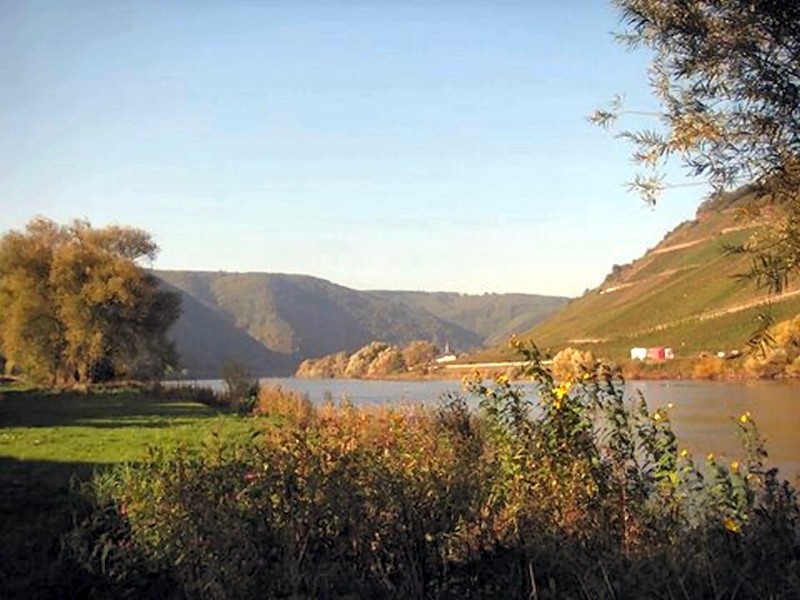 Mosel