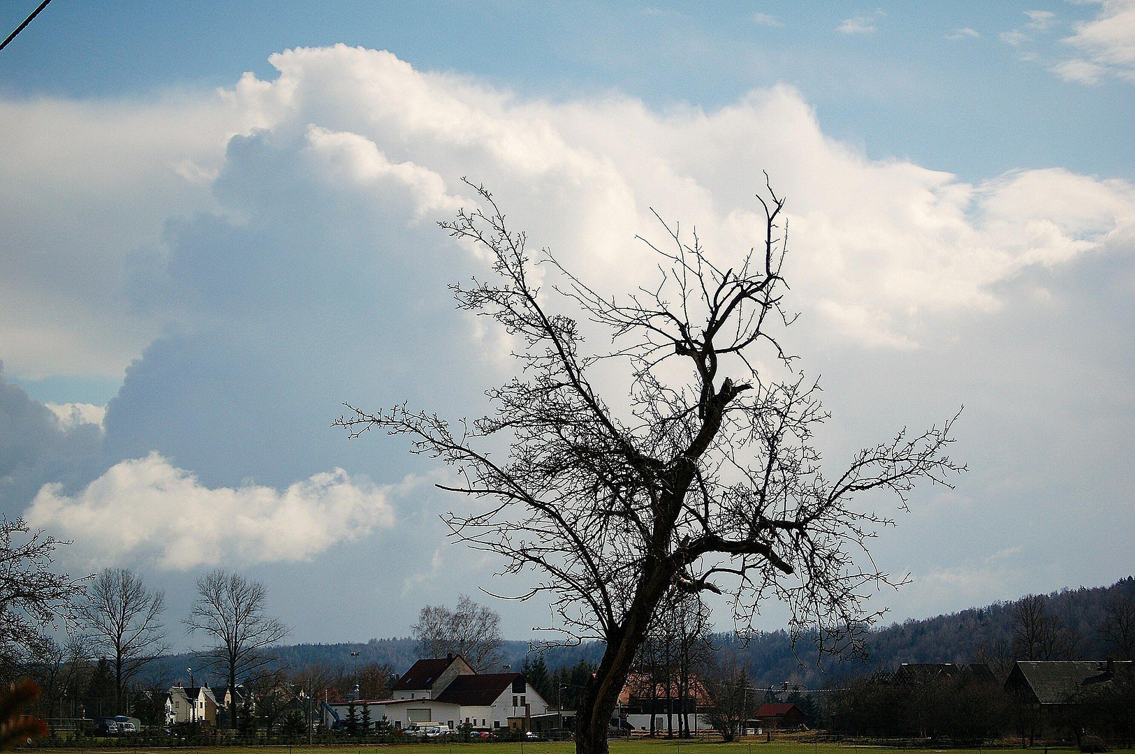 Apfelbaum mit Wolke