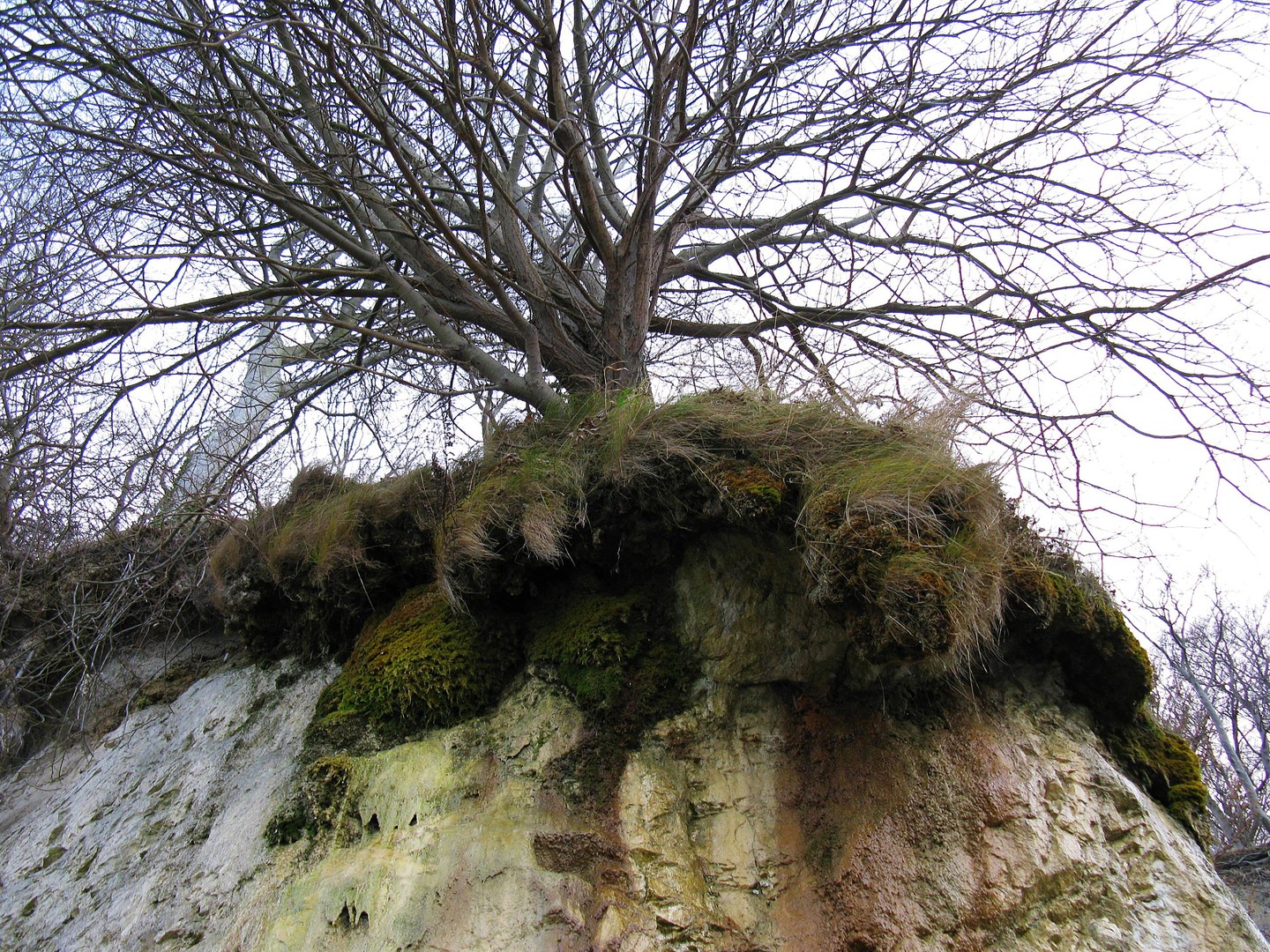 Am Kreidefelsen