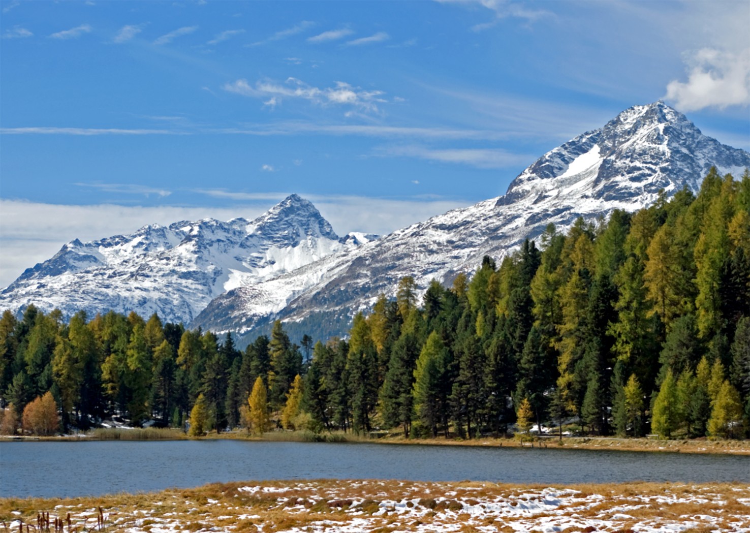 Herbst im Starzerwald