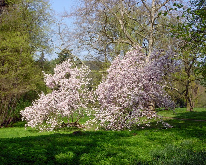 Besser kann der Frühling wohl nicht werden