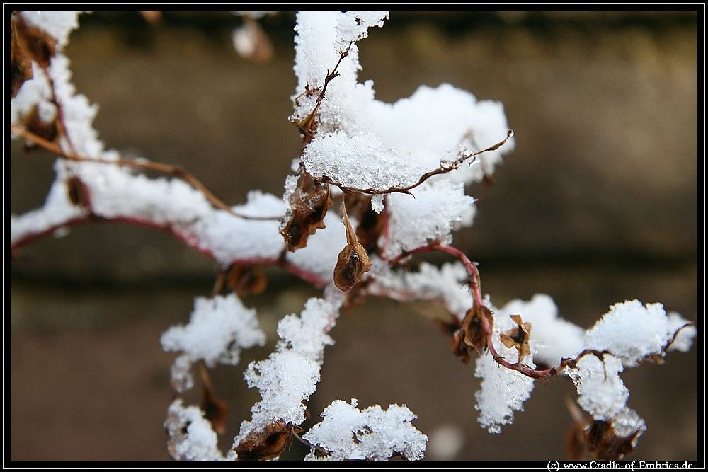 Schneeschmelze