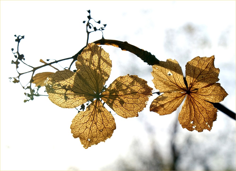 Abschied vom Sommer